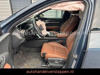 Audi Q8 e-tron 55 Quattro S line Pano 115KWH 300KW picture 18