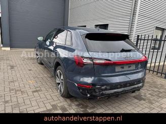 Audi Q8 e-tron 55 Quattro S line Panorama picture 5