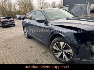 Audi Q8 e-tron 55 Quattro S line Panorama picture 20