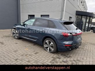 Audi Q8 e-tron 55 Quattro S line Panorama picture 22