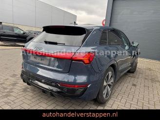 Audi Q8 e-tron 55 Quattro S line Panorama picture 3