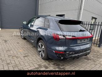 Audi Q8 e-tron 55 Quattro S line Panorama picture 23