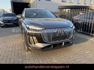 Audi Q6 e-tron 215KW S-LINE Daytonagrau Matrix 3 disp picture 5