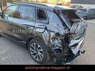 Audi Q6 e-tron 215KW S-LINE Daytonagrau Matrix 3 disp picture 9