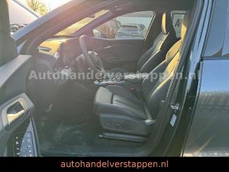 Audi Q6 e-tron 215KW S-LINE Daytonagrau Matrix 3 disp picture 22