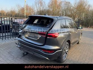 Audi Q6 e-tron 215KW S-LINE Daytonagrau Matrix 3 disp picture 6