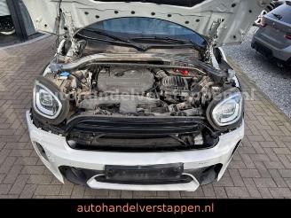 Mini Countryman COOPER DAB+ picture 10