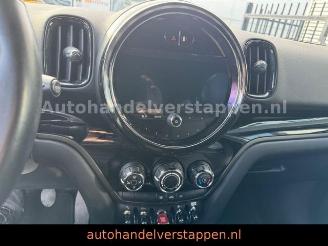 Mini Countryman COOPER DAB+ picture 13