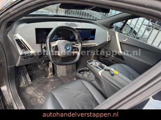 BMW iX 40 xDrive 240KW Sport Glas Dach Harman FULL picture 10