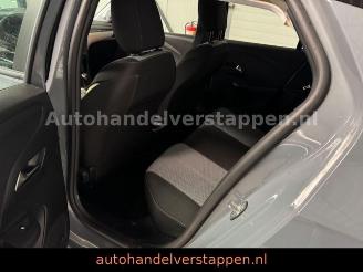 Opel Corsa F Edition 55KW 5-Turig DAB+ LED picture 11