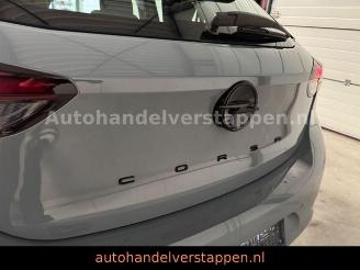 Opel Corsa F Edition 55KW 5-Turig DAB+ LED picture 10