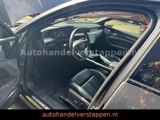Audi E-tron 55 Quattro S line Sport Panorama FULL CAM picture 22