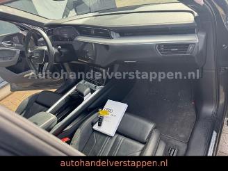Audi E-tron 55 Quattro S line Sport Panorama FULL CAM picture 34