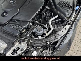 Mercedes E-klasse 450d 4Matic Avantgard Advancd Panorama picture 18