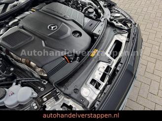 Mercedes E-klasse 450d 4Matic Avantgard Advancd Panorama picture 24