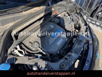 BMW X2 xDrive 25e Advantage 162KW Leder HUD picture 20