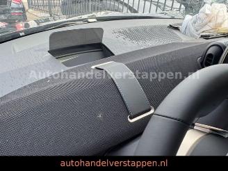 Mini Aceman SE 49.2KWH 218PS PANO HARMAN picture 19