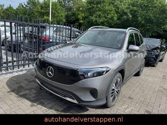  Mercedes EQB 250+ 71KWH Progressive Panorama 2025/5