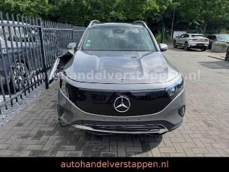 Mercedes EQB 250+ 71KWH Progressive Panorama picture 2