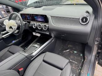 Mercedes EQA 250+ AMG Sport Pano AHK Burm Memory VOLLL picture 5