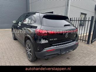 Mercedes EQA 350 4Matic AMG Line 215KW picture 2