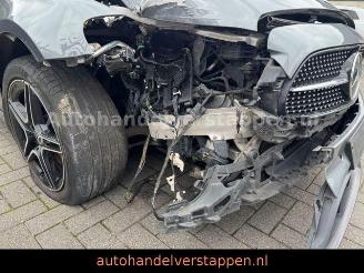 Mercedes E-klasse 300 d 4Matic AMG Sport Pano Burm AHK picture 9
