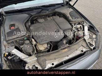 Mercedes E-klasse 300 d 4Matic AMG Sport Pano Burm AHK picture 12