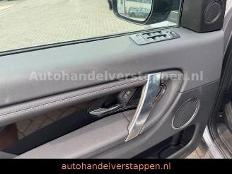 Land Rover Discovery Sport S AWD D165 Aut. Pano Leder 7sitz picture 21