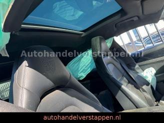 Porsche Panamera 4 E-Hybrid Sport Chrono Panorama picture 21