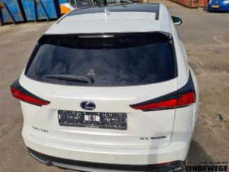 Lexus NX NX I (Z1), SUV, 2014 300h 2.5 16V 4x4 picture 30