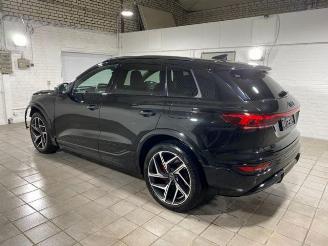 Audi SQ6 e-tron HUD/360/AHK/B&O/NAVI picture 12