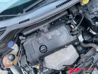 Peugeot 207 207 SW (WE/WU), Combi, 2007 / 2013 1.6 16V VTRi picture 11