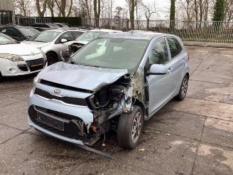 Kia Picanto Picanto (JA), Hatchback, 2017 1.0 12V picture 1