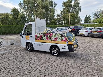 skadebil overig Alle  cenntro centro  electrice 2020/6