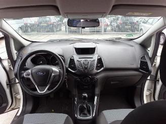 Ford EcoSport EcoSport (JK8), SUV, 2013 1.0 EcoBoost 12V 125 picture 20