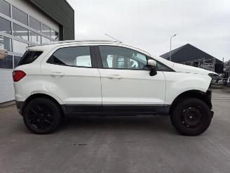 Ford EcoSport EcoSport (JK8), SUV, 2013 1.0 EcoBoost 12V 125 picture 9