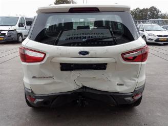 Ford EcoSport EcoSport (JK8), SUV, 2013 1.0 EcoBoost 12V 125 picture 6