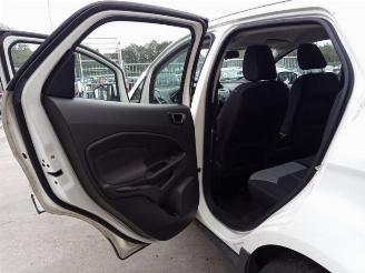 Ford EcoSport EcoSport (JK8), SUV, 2013 1.0 EcoBoost 12V 125 picture 14