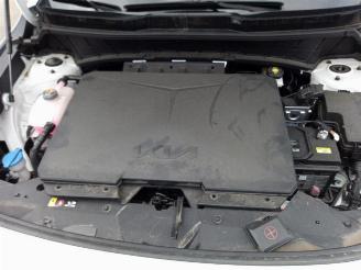 Kia Niro Niro II (SG), SUV, 2022 EV 64.8 kWh picture 9