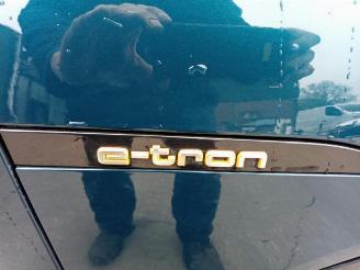 Audi E-tron E-tron (GEN), SUV, 2018 55 quattro picture 18