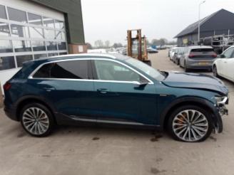Audi E-tron e-tron (GEN), SUV, 2018 / 2023 55 quattro picture 2