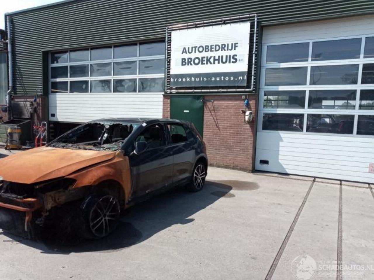 Volkswagen Golf Golf VII (AUA), Hatchback, 2012 / 2021 2.0 GTD 16V