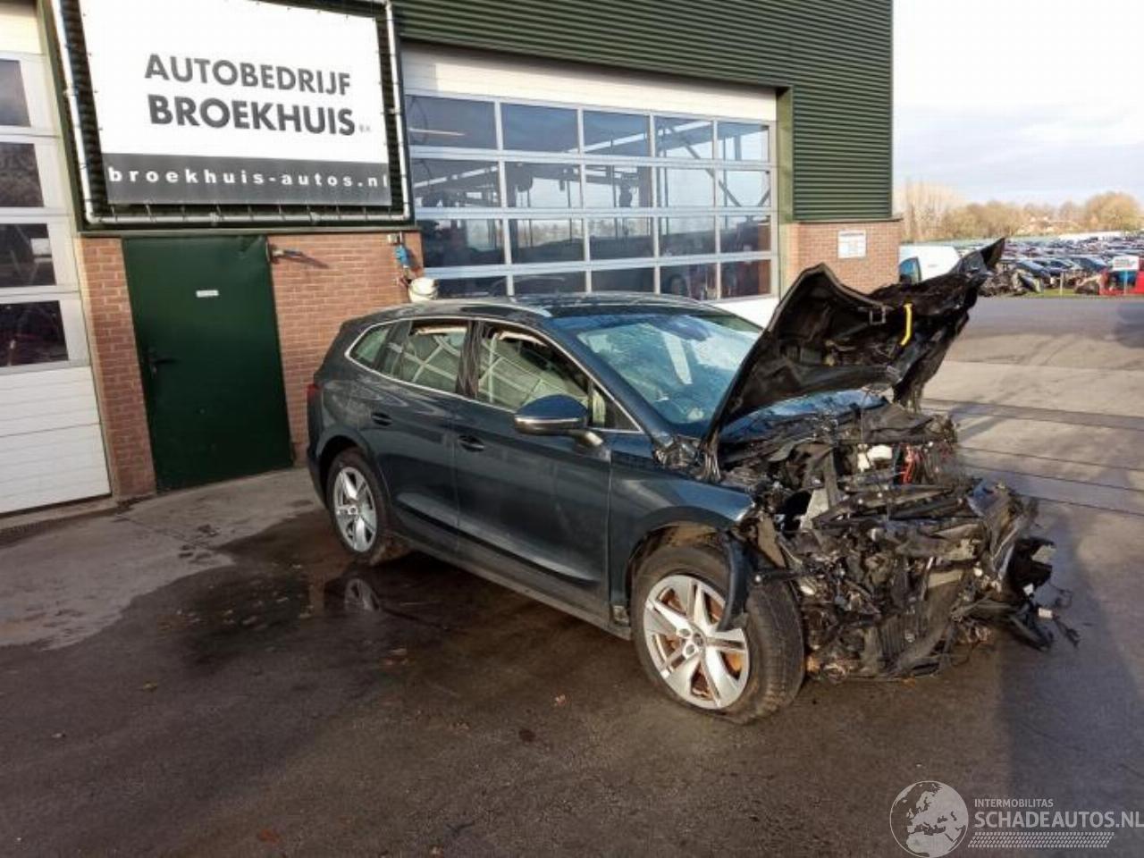 Skoda Enyaq Enyaq iV, SUV, 2021 80