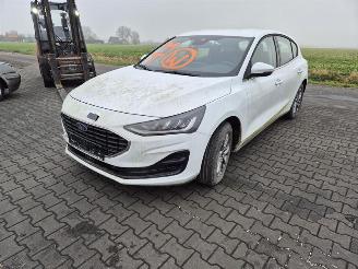Ford Focus 1.0 hybrid picture 3