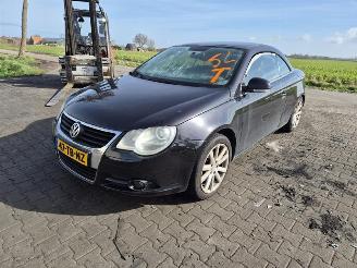 Volkswagen Eos 2.0 FSi picture 3