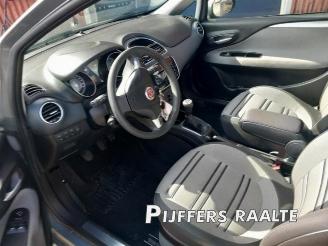 Fiat Punto Punto Evo (199), Hatchback, 2009 / 2012 1.3 JTD Multijet 85 16V Euro 5 picture 10