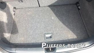 Volkswagen Polo Polo V (6R), Hatchback, 2009 / 2017 1.6 TDI 16V 90 picture 21
