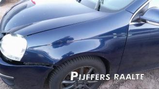 Volkswagen Golf Golf V Variant (1K5), Combi, 2007 / 2009 1.4 TSI 140 16V picture 10