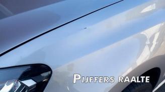 Volkswagen Polo Polo V (6R), Hatchback, 2009 / 2017 1.6 TDI 16V 90 picture 14