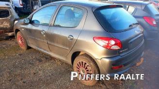 Peugeot 206 206+ (2L/M), Hatchback, 2009 / 2013 1.4 XS picture 2
